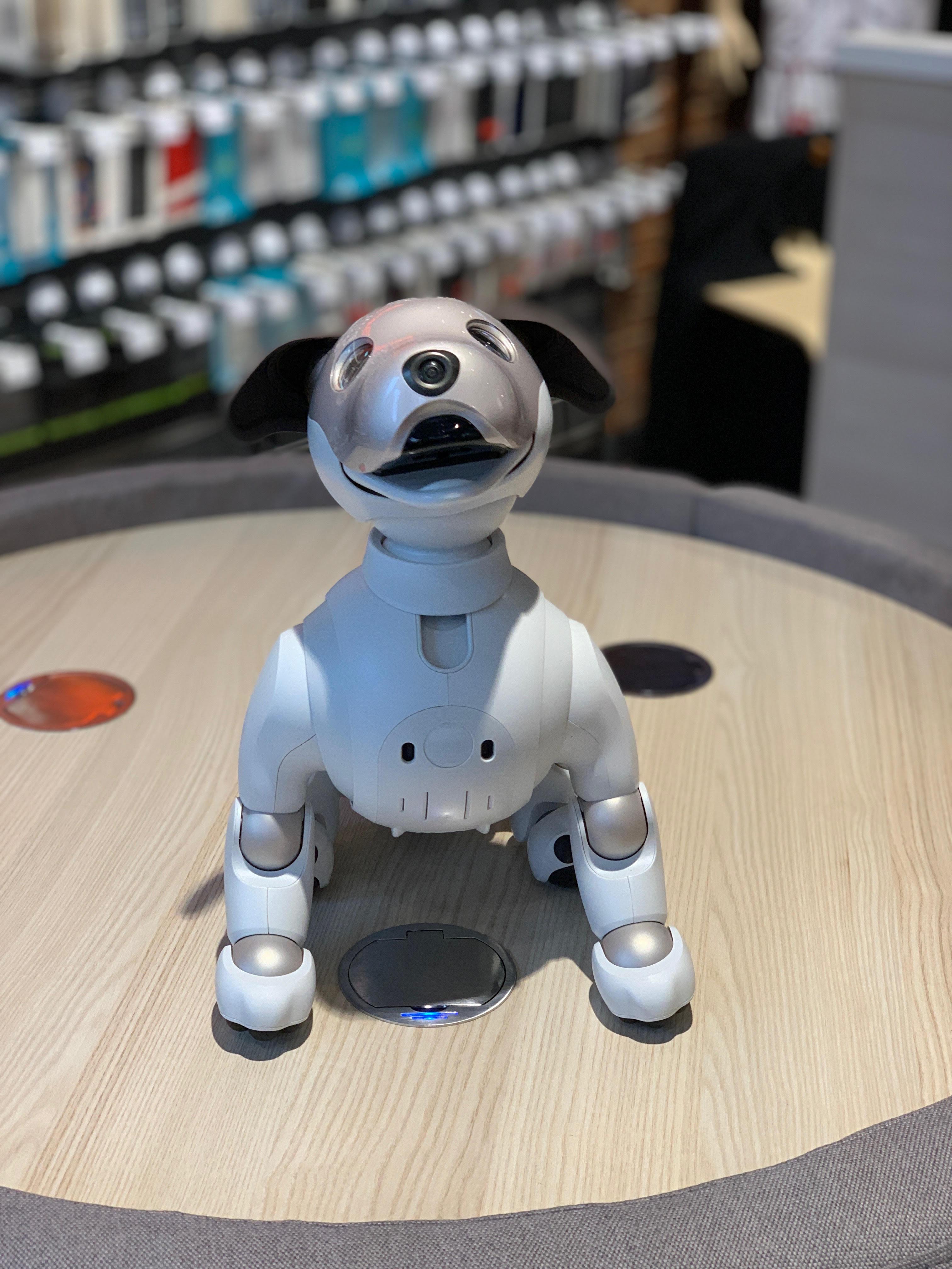 Sony Aibo smart dog 1