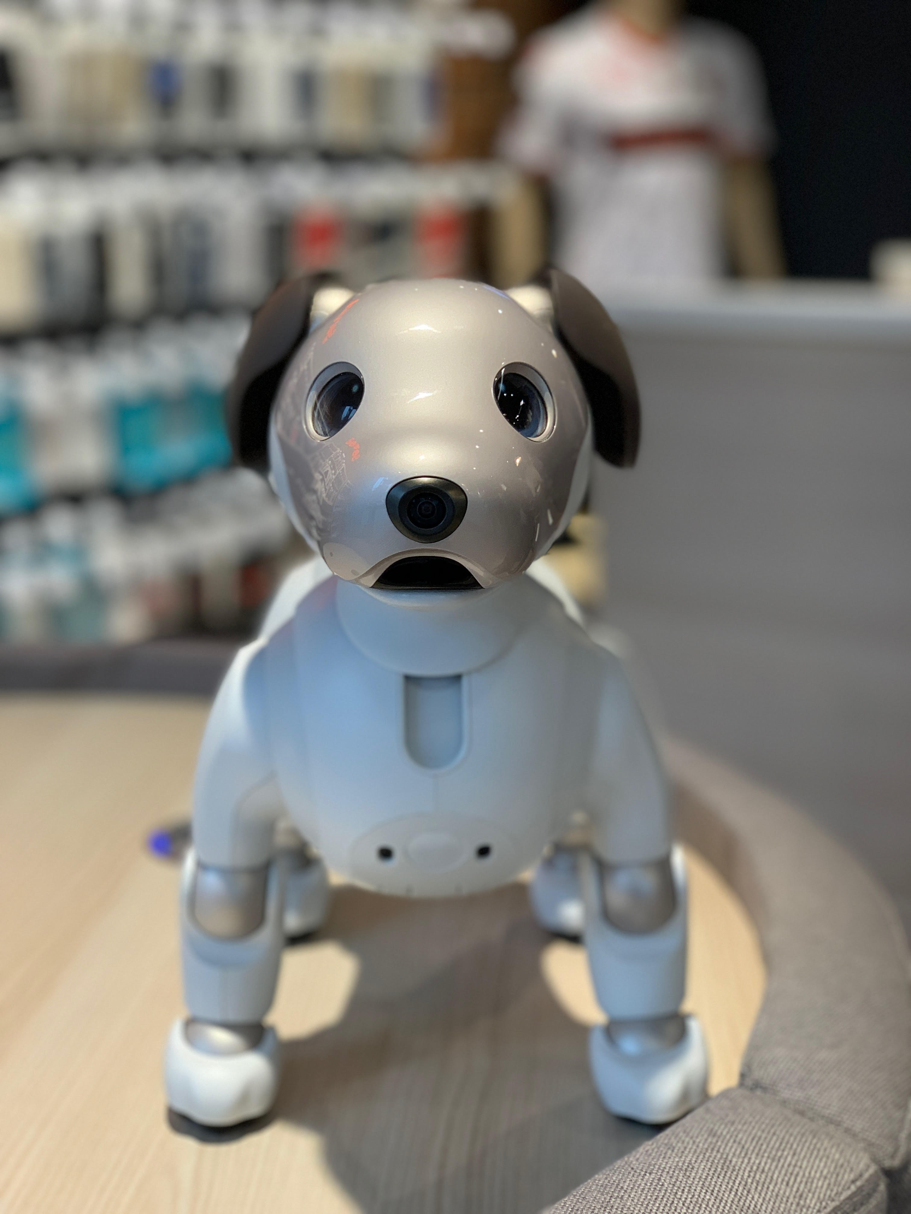 Intelligent puppy Sony Aibo